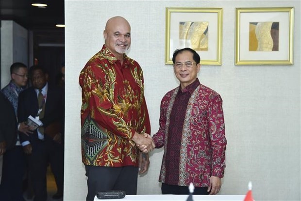 Le ministre vietnamien des Affaires étrangères Bui Thanh Son (droite) et le Premier ministre et ministre des Affaires étrangères de Papouasie-Nouvelle-Guinée, James Marape. Photo: VNA