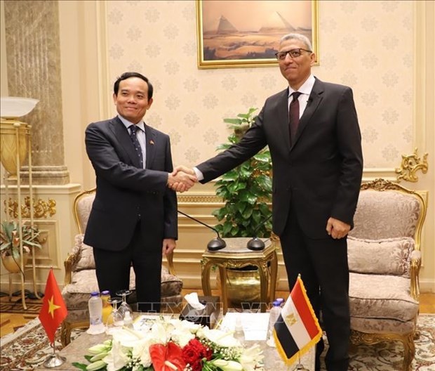 Le Vice-Premier ministre Trân Luu Quang (gauche) et le premier vice-président de la Chambre des Représentants égyptienne, Ahmed Saad El-Din Mohamed Abd El-Rehim. Photo : VNA.