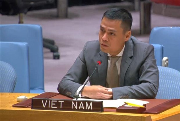 L'ambassadeur Dang Hoàng Giang, chef de la Mission permanente du Vietnam auprès de l’ONU, s'exprime lors du débat public. Photo : VNA.
