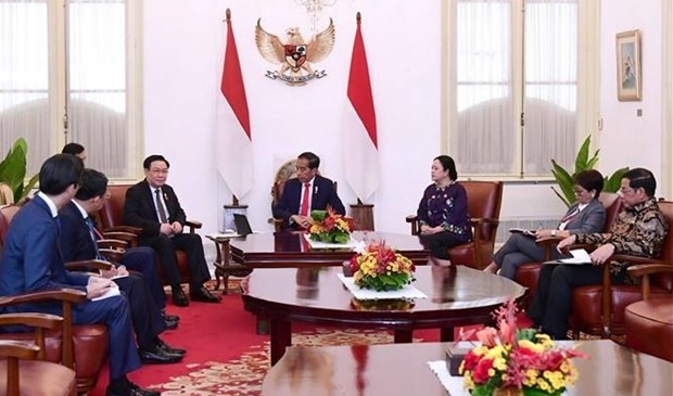 Le président de l’Assemblée nationale Vuong Dinh Hue rencontre le président indonésie Joko Widodo. Photo : VNA.