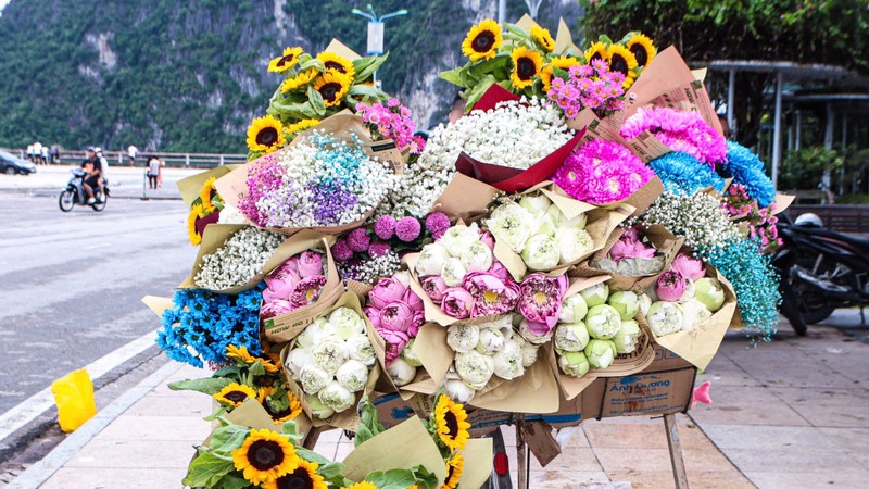 Des vélos chargés de fleurs à Ha Long. Photo: Daidoanket