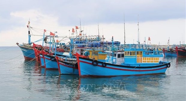 Des navires au port de My Tan, district de Ninh Hai, province de Ninh Thuan. Photo: VNA