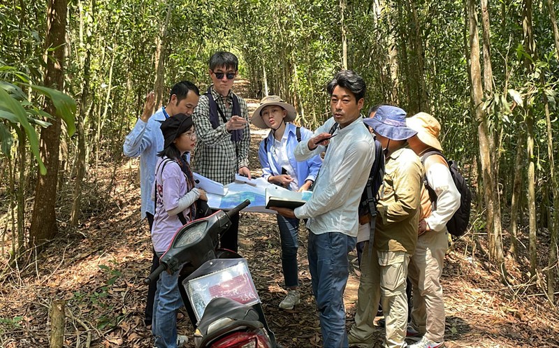Une délégation sud-coréenne étudie la restauration et la gestion durable des forêts à Long An. Photo: baolongan
