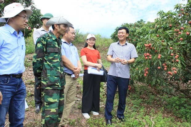 Bac Giang se concentrera sur l'amélioration de la qualité et de l'efficacité des tâches scientifiques et technologiques au service de son développement socio-économique. Photo : journal Bac Giang