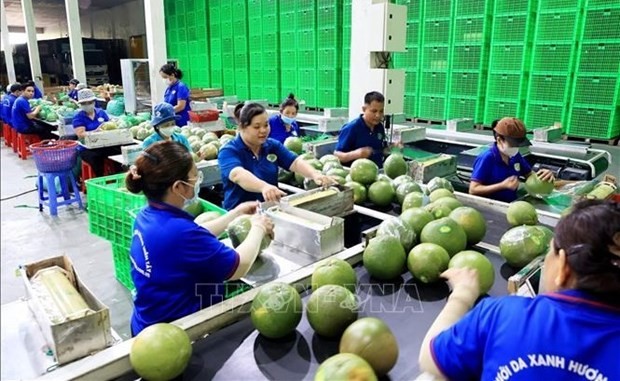 Les fruits et légumes sont l'un des deux produits avec une valeur d'exportation record de 5,69 milliards de dollars. Photo : VNA.