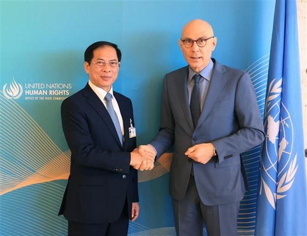 Le ministre vietnamien des Affaires étrangères, Bui Thanh Son (gauche), et le Haut-Commissaire des Nations Unies aux droits de l'homme, Volker Turk. Photo: VNA