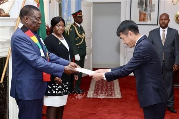 L'ambassadeur vietnamien en Afrique du Sud et au Zimbabwe, Hoàng Sy Cuong (à droite) présenté les lettres de créance du Président vietnamien Vo Van Thuong au Président Emmerson Mnangagwa. Photo : VNA.