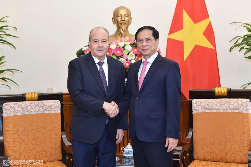 Le ministre vietnamien des Affaires étrangères, Bui Thanh Son (à droite), et l'ambassadeur d'Algérie, Abdelhamid Boubazine. Photo: baoquocte