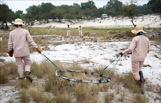 Recherche d'engins explosifs avec des machines spécialisées. Photo: VNA