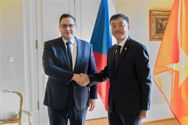 L'ambassadeur du Vietnam en République tchèque, Duong Hoai Nam (droite), et le ministre tchèque des Affaires étrangères, Jan Lipavsky. Photo: VNA