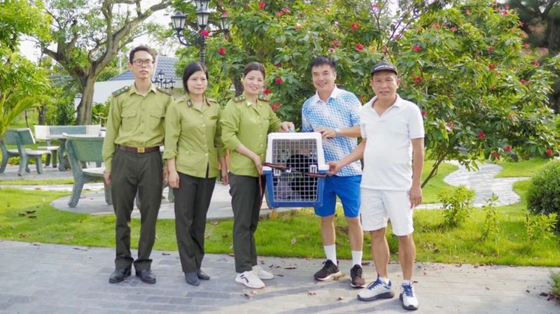 Après quelques analyses, on sait qu'il s'agit d'un gibbon à joues rouges figurant dans la liste des animaux forestiers menacés, précieux et rares du groupe IB. Photo: NDEL