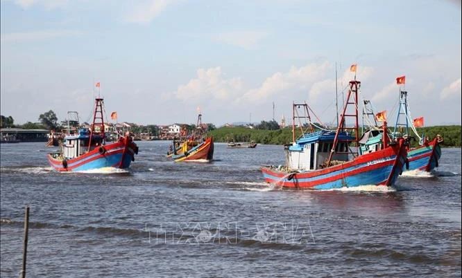 Nghe An traite sévèrement les bateaux de pêche sans licence. Photo : VNA.