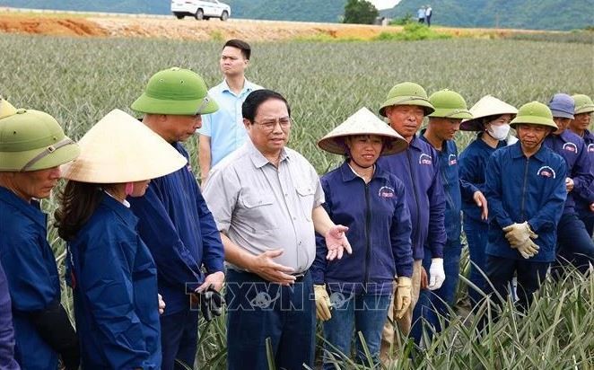 Le Premier ministre Pham Minh Chinh (4e à partir de la gauche) visite la ferme d’ananas de Dông Giao de Doveco, à Ninh Binh, le 28 mai. Photo : VNA.