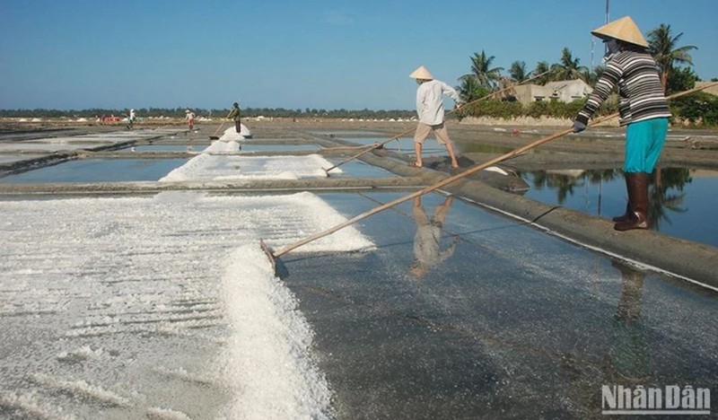 Les champs de sel traditionnels de Sa Huynh. Photo: NDEL