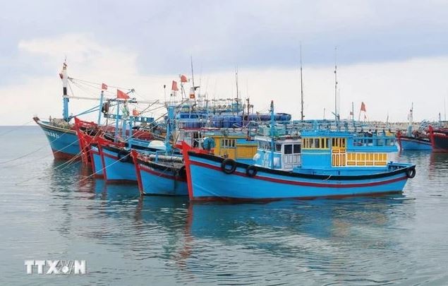 La lutte contre la pêche INN n’est qu’une étape nécessaire pour protéger les ressources halieutiques et l'économie maritime et non pas seulement pour répondre aux exigences de la CE. Photo : VNA.