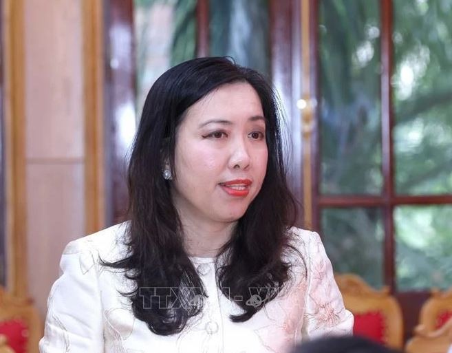 La vice-ministre des Affaires étrangères Le Thi Thu Hang. Photo: VNA