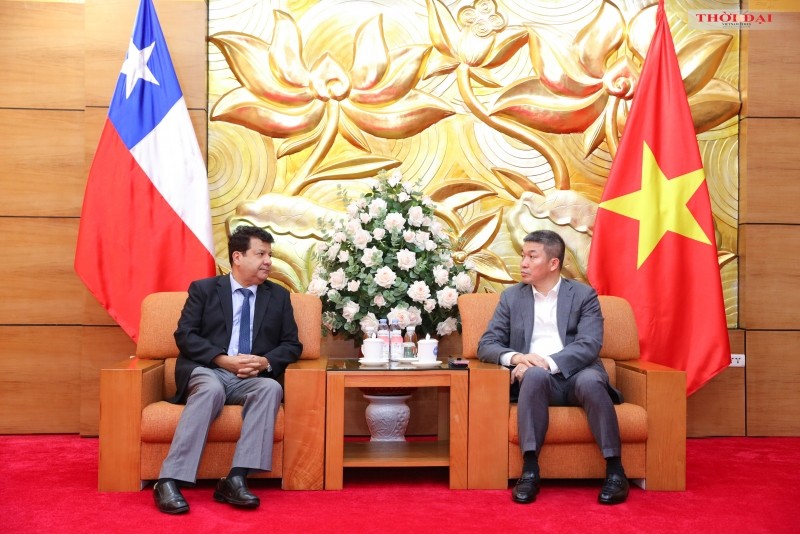 Phan Anh Son (à droite), président de l'Union vietnamienne des organisations d'amitié et Sergio Narea, ambassadeur du Chili au Vietnam. Photo: thoidai