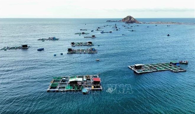 Modèle de cages d'élevage de homards des pêcheurs du district de Ninh Hai, province de Ninh Thuan. (Photo : VNA)