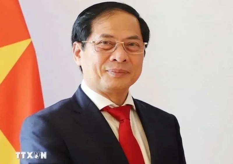 Le vice-Premier ministre et ministre des Affaires étrangères Bui Thanh Son. Photo : VNA.