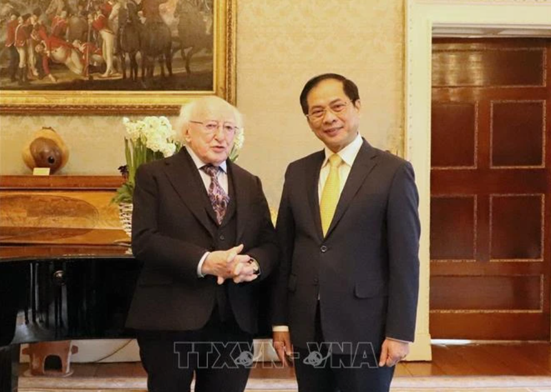 Le ministre des Affaires étrangères Bui Thanh Son (à droite) et le président Michael D. Higgins au palais présidentiel irlandais le 28 février 2024. Photo : VNA.