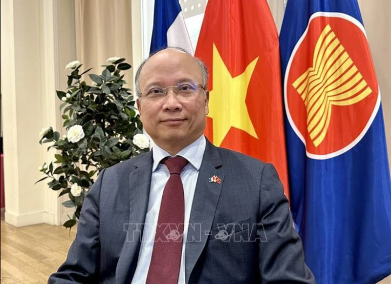 L'ambassadeur du Vietnam en France Dinh Toan Thang. Photo : VNA.