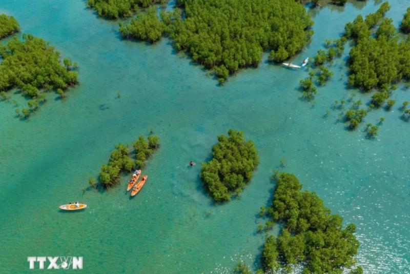 Forêt de mangroves de la baie de Dam, baie de Nha Trang, province de Khanh Hoa vue d'en haut. Photo: VNA.