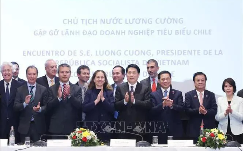 Le président Luong Cuong rencontre des chefs d'entreprise chiliens typiques. Photo : VNA.