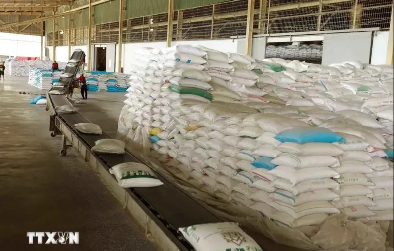 L'Afrique est un marché très prometteur pour le riz vietnamien. Photo: VNA