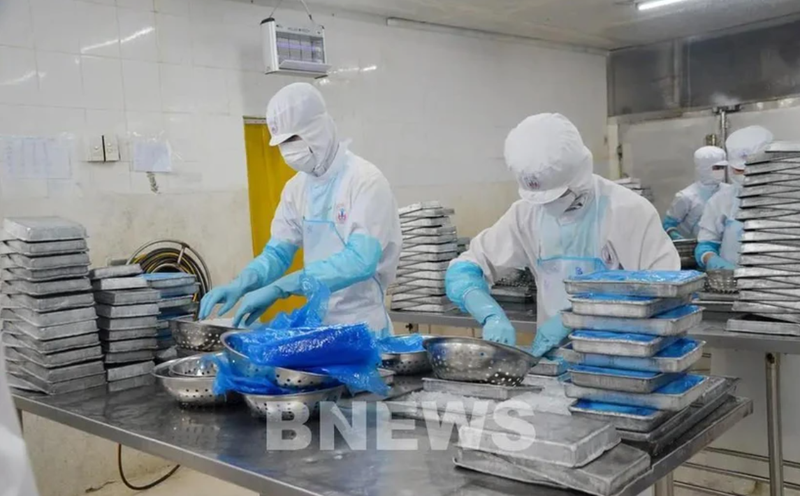 Transformation des produits aquatiques pour l’exportation chez la SARL des produits aquatiques, dans la ville de Vung Tàu (Sud). Photo : VNA.