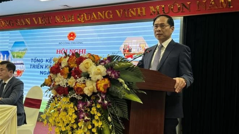 Le vice-Premier ministre et ministre des Affaires étrangères, Bui Thanh Son. Photo : VNA.