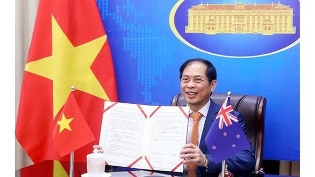 Le ministre vietnamien des Affaires étrangères Bùi Thanh Son. Photo : VNA