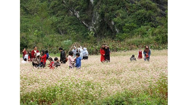 Le 8e Festival des fleurs de sarrasin en 2022 s'ouvrira officiellement le 26 novembre 2022. Photo: aohagiang.vn