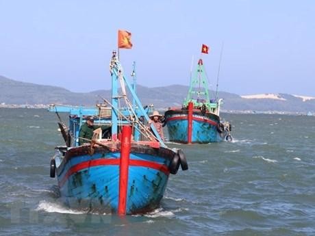 Binh Thuân met le cap sur une exploitation durable et responsable des ressources halieutiques. Photo d'illustration : VNA.