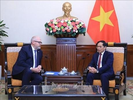 Le ministre des Affaires étrangères, Bùi Thanh Son (à droite), et le sénateur australien Tim Ayres, ministre du Commerce et aussi ministre de la Fabrication, en visite de travail au Vietnam. Photo : VNA.