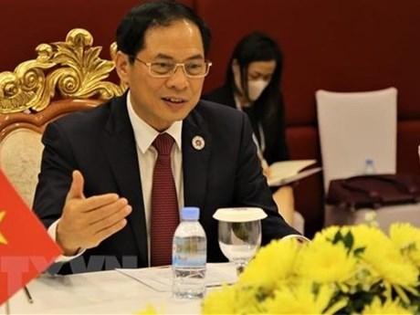 Le ministre des Affaires étrangères (AE), Bui Thanh Son. Photo: VNA