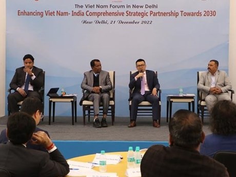 Des experts vietnamiens et indiens lors du forum. Photo: VNA