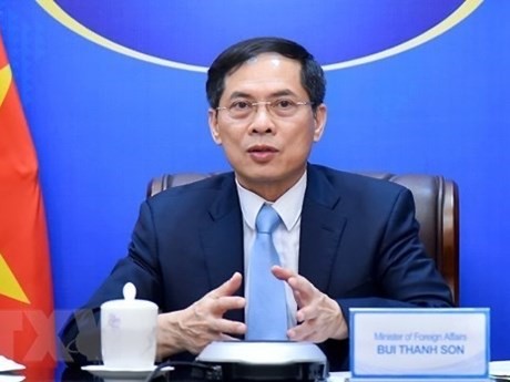  Le ministre des Affaires étrangères, Bùi Thanh Son. Photo : VNA.