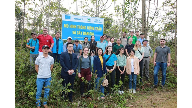 900 habitants issus des minorités ethniques sur un total de plus de 3 700 agriculteurs à Quang Tri ont bénéficié du projet PROSPER. Photo : MCMV.