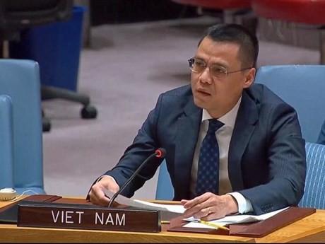 Le chef de la Mission permanente du Vietnam auprès de l’ONU, Dang Hoàng Giang. Photo : VNA.