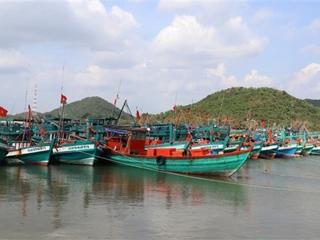 Bateaux de pêche ancrés sur la mer à Hà Tiên dans la ville de Hà Tiên, province de Kiên Giang. Photo : VNA.