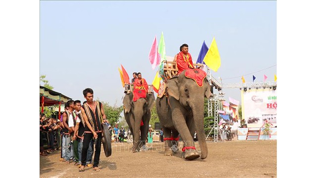 Un défilé des éléphants au Buôn Dôn dans le cadre de la 7e Festival du café du Buôn Ma Thuôt.Photo : VNA. 