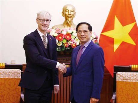 Le ministre des Affaires étrangères, Bùi Thanh Son (à droite), et le secrétaire d'État norvégien aux Affaires étrangères, Erling Rimestad. Photo : VNA.
