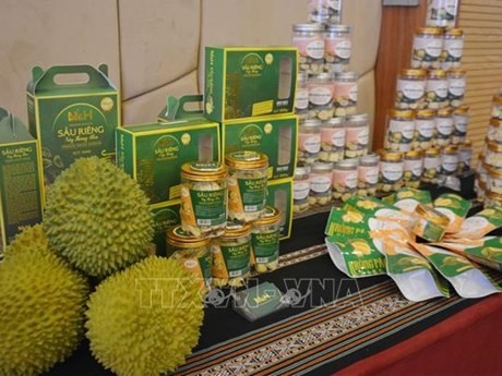 Des durians produits dans la commune de Long Trung (district de Cai Lây, province de Bên Tre, au Sud du Vietnam). Photo : VNA.