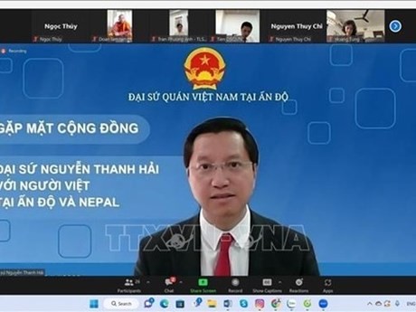 L'ambassadeur Nguyên Thanh Hai. Photo : VNA.