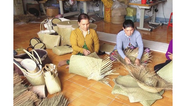 Le projet est mis en œuvre dans le but d'accompagner les habitants de la commune de Phong Binh, district de Phong Diên à développer le métier traditionnel de tissage de l'herbe Lepironia articulata, créant des opportunités d'emplois pour les populations locales. Photo : www.thuathienhue.gov.vn