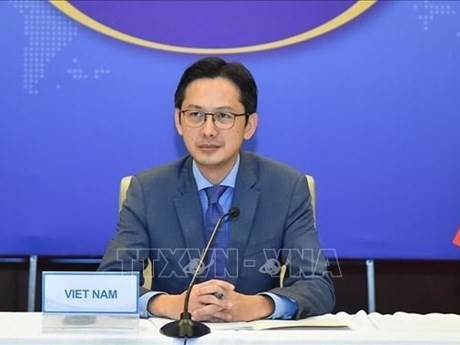 Le vice-ministre vietnamien des Affaires étrangères, Dô Hùng Viêt. Photo : VNA.