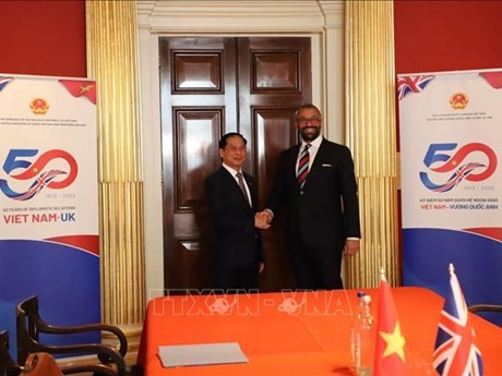 Le ministre vietnamien des Affaires étrangères, Bùi Thanh Son (à gauche) et le secrétaire d'État britannique aux Affaires étrangères, James Cleverly. Photo : VNA.