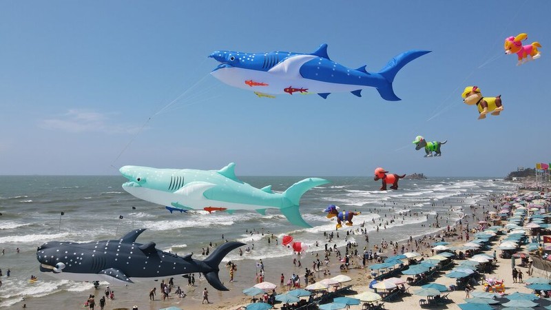 Fête des cerfs-volants à Vung Tàu, province de Bà Ria-Vung Tàu. Photo : CVN/NDEL. 