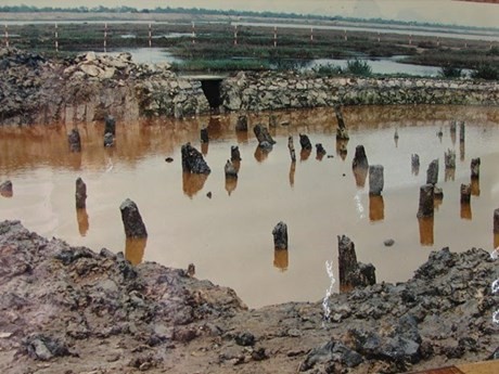 Le champ de poteaux de bois Bach Dang ajouté au dossier demandant la reconnaissance de l'UNESCO pour le complexe de Yên Tu. Photo : portail de la province de Quang Ninh.