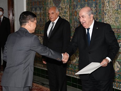 Le Président algérien Abdelmadjid Tebboune et l’ambassadeur du Vietnam en Algérie, Trân Quôc Khanh. Photo : Ambassade du Vietnam en Algérie . Photo : VNA. 